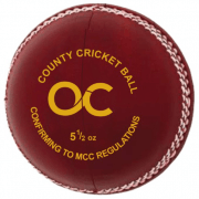 Cricket Balls
