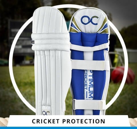 Cricket Protection